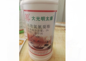 延安高效氯氰菊酯